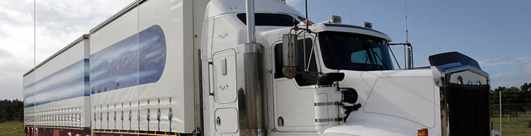 Florida Driving Records